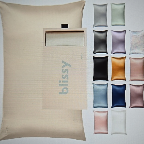 Blissy 100% Pure Mulberry Silk Pillowcase Champagne King 22 Momme 6A higrade New - Picture 1 of 8